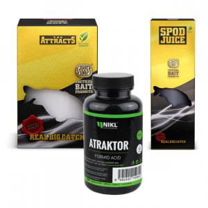 Attraktorok