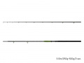 Delphin ENERGY Catfish 250cm/250-500g/2 rész