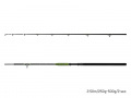 Delphin ENERGY Catfish 280cm/250-500g/2 rész
