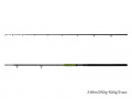 Delphin ENERGY Catfish 310cm/250-500g/2 rész