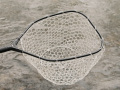 Delphin TroutSPIN Pisztrángos merítő puha hálóval 40x30cm