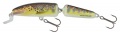 Salmo Wobbler Fanatic IF7-F