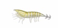 Savage Gear 3D Hybrid Shrimp