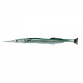 Savage Gear 3D Line Thru Needlefish Pulset