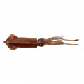 Savage Gear 3D Tpe Swim Squid