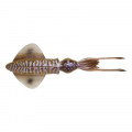 Savage Gear 3D Swim Squid