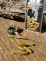 ROK Screw Lock Lead Clip SL - Csavaros Ólomkapocs