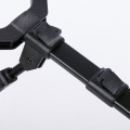 Prologic C-Series Convertible
