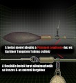Gardner Tackle Covert Buffer Beads XL