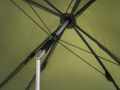 Delphin Rainy Esernyő