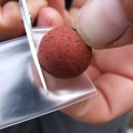 Gardner Tackle Hard Ball Bait Saver csalivédő