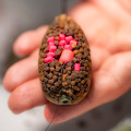 SBS Premium Method All In B1 Pellet Box (meleg vízre)