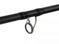 Delphin Dunay Carp