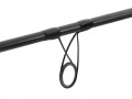 Delphin Dimenzia