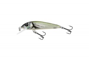 Salmo Wobbler Minnow M6F-M6S