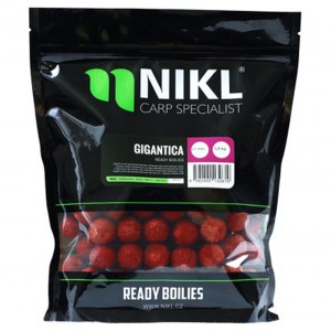 Nikl Ready Bojli Gigantica