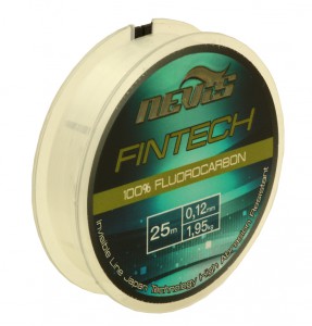 Nevis Fintech