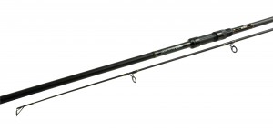 Motive Carp