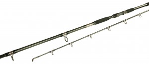 Nevis Whisper Catfish