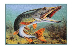 Delphin Szőnyeg 3D Csuka