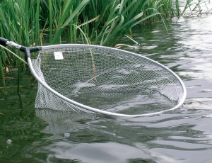 Nevis Merítőfej Suoer Bream