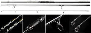 Nevis Dynamic Carp