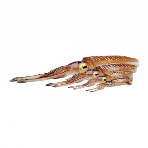 Savage Gear 3D Swim Squid