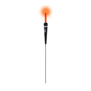 Ibite Carrot