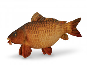 Delphin CARPY Plüss Ponty 60 cm